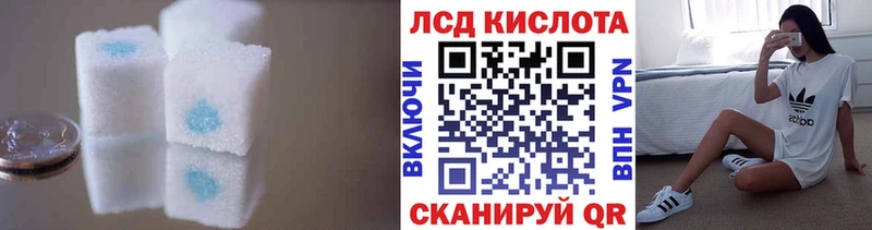 shop как зайти  Жиздра  Лсд 25 экстази ecstasy  хочу  